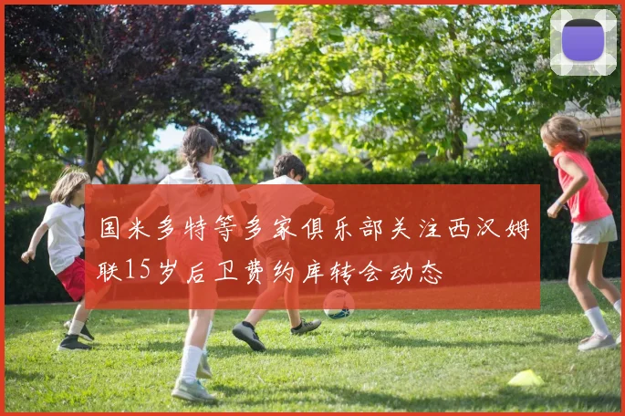 国米多特等多家俱乐部关注西汉姆联15岁后卫费约库转会动态