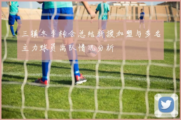 三镇冬季转会总结新援加盟与多名主力球员离队情况分析